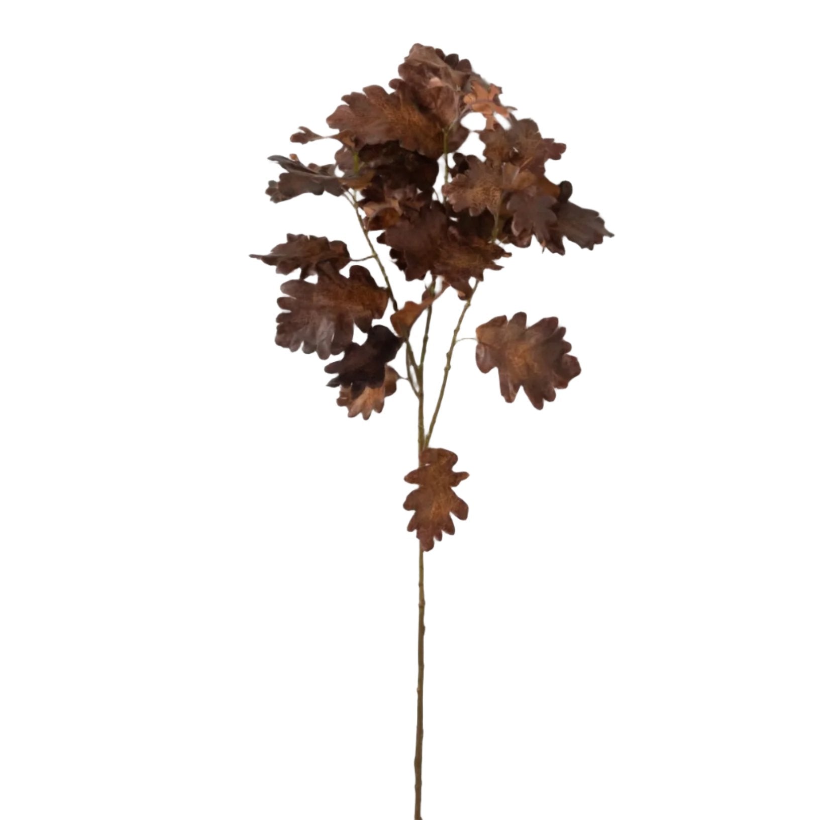 Oak Leaf Spray - Brown