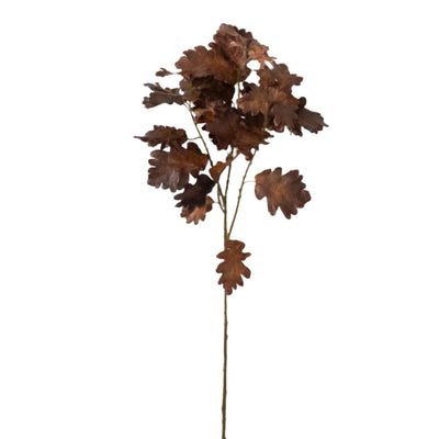 Oak Leaf Spray - Brown