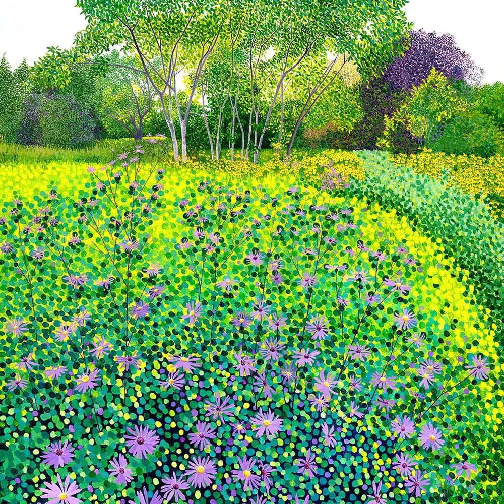 Susan Entwistle Asters at RHS Wisley Greetinng Card | Putti Celebrations