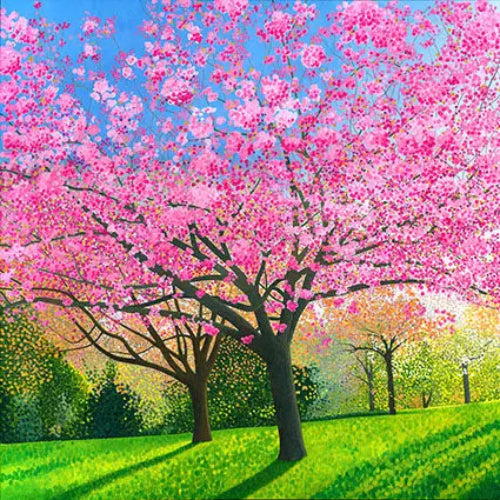 Susan Entwistle Blossom in the Arboretum Greetinng Card  | Putti Celebrations