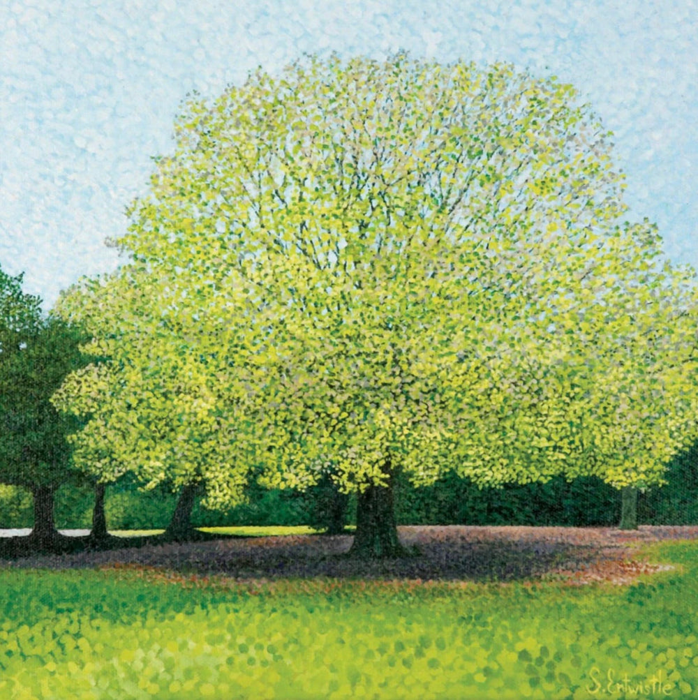 Susan Entwistle Fern Leaf Beech Greeting Card | Putti Celebrations