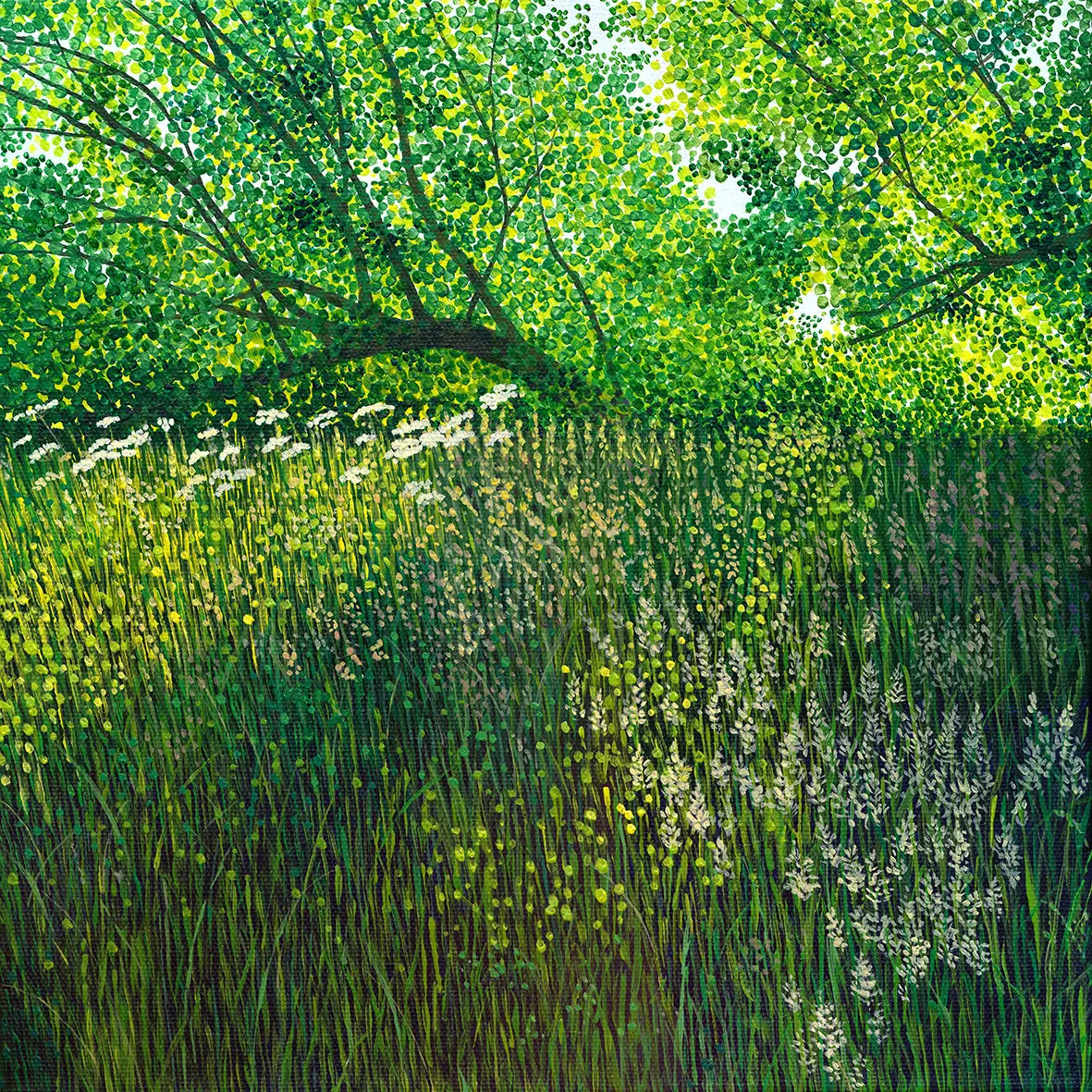 Susan Entwistle Summer Meadow Greeting Card | Putti Celebrations