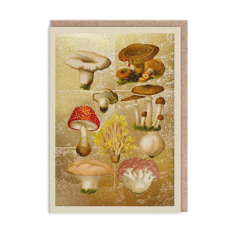 The Natural World Collection Greeting Card - Fungi | Putti Celebrations