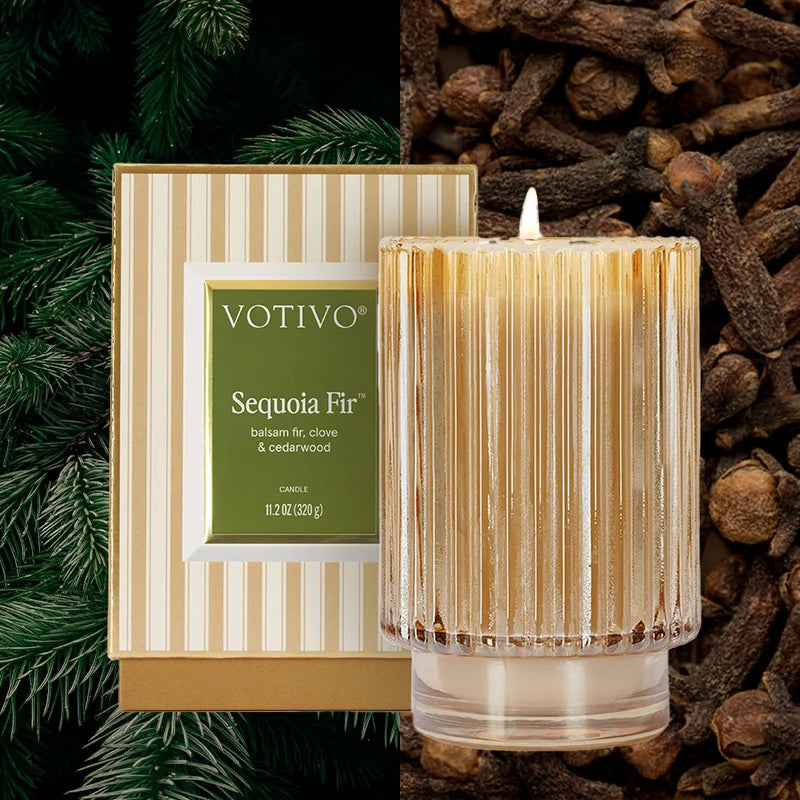 Sequoia Fir Holiday Candle | Putti Fine Furnishings