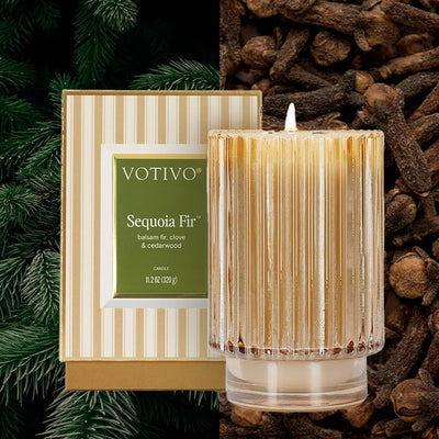 Sequoia Fir Holiday Candle | Putti Fine Furnishings
