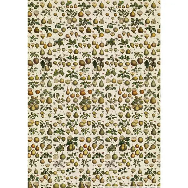 The Pattern Book Uk Pears Wrapping Paper Sheet | Putti