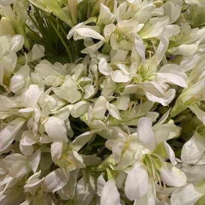 White Agapanthus Stem | Putti Fine Furnishings