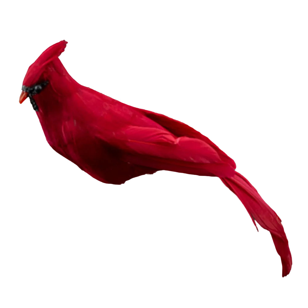 Red Feather Cardinal with Clip | Putti Chistmas Decorations