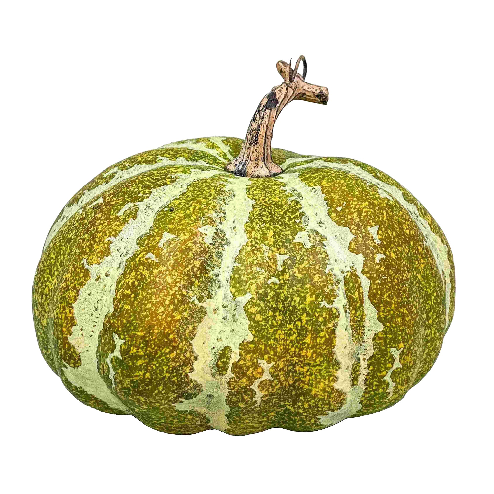 Green Fall Pumpkin 180mm
