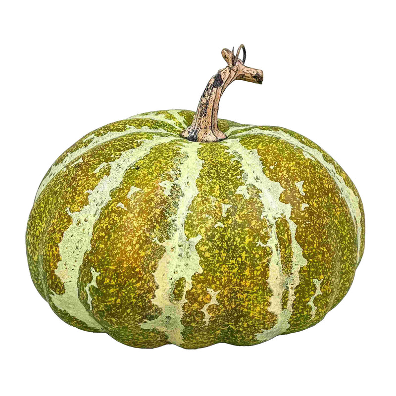 Green Fall Pumpkin 180mm