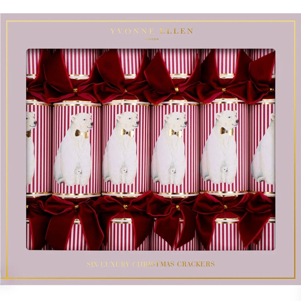 Yvonne Ellen Polar Bear 12" Crackers | Putti Christmas Decorations