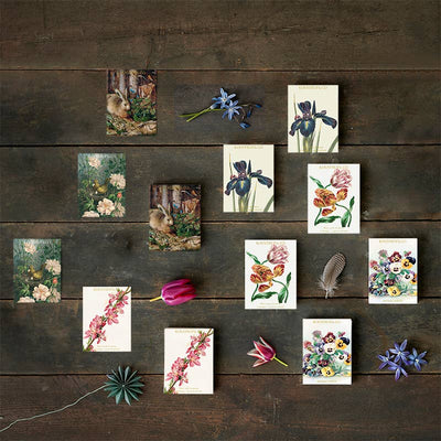 Spring Mini Note Cards