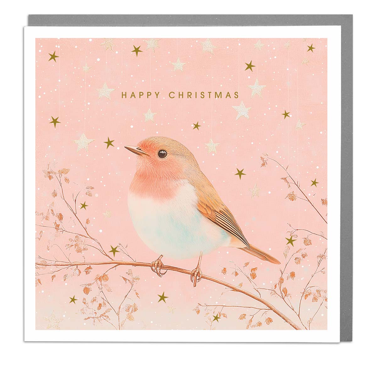 "Happy Christmas" Robin Greeting Card