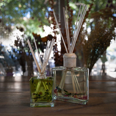 Rosy Rings - Apricot Rose 13 oz Botanical Diffuser