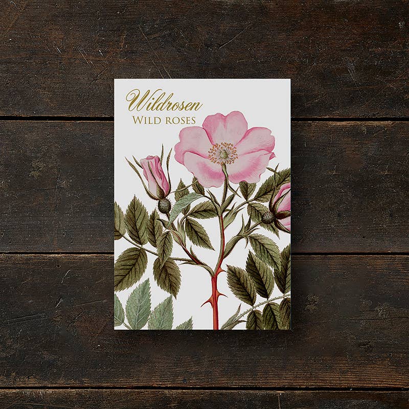 Wild Rose Note Cards