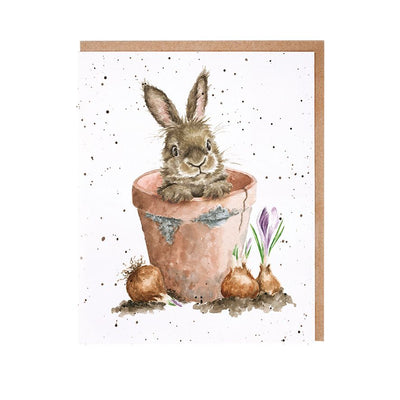 Wrendale "The Flower Pot" Rabbit Note Card Pack | Putti Fine Furnishings