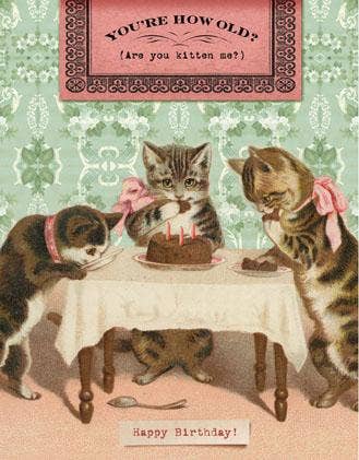Are you Kitten Me? Greeting Card
