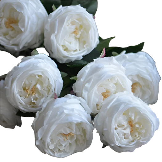 Real Touch English Austin Cabbage Rose Stem - White