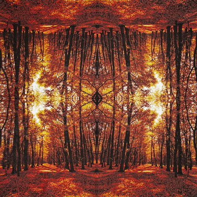 Autumn Forest Paper Lunch Napkins