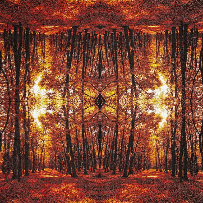 Autumn Forest Paper Lunch Napkins