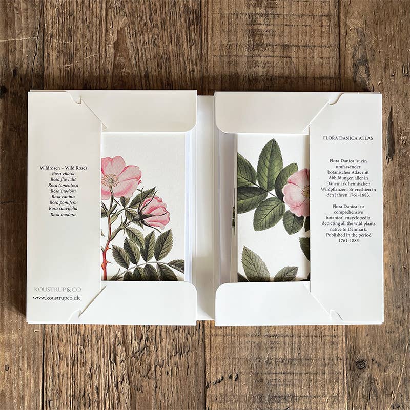 Wild Rose Note Cards