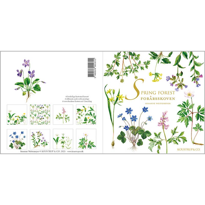 Spring Forest Note Cards