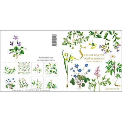 Spring Forest Note Cards