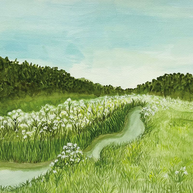 Llantwit Major Greeting Card