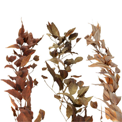 Fall Eucalyptus Leaf Garland | Putti Fall Decor