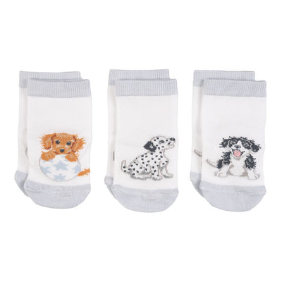 "Little Paws" Dog Baby Socks | Le Petite Putti