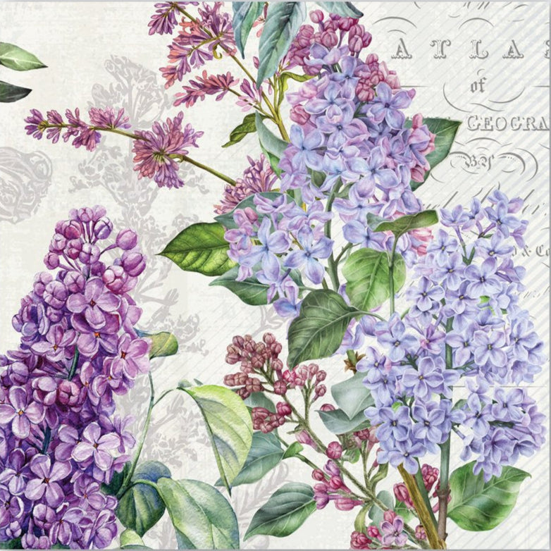 Michel Design Works French Lilacs Cocktail Napkins | Putti Fine Furnishings