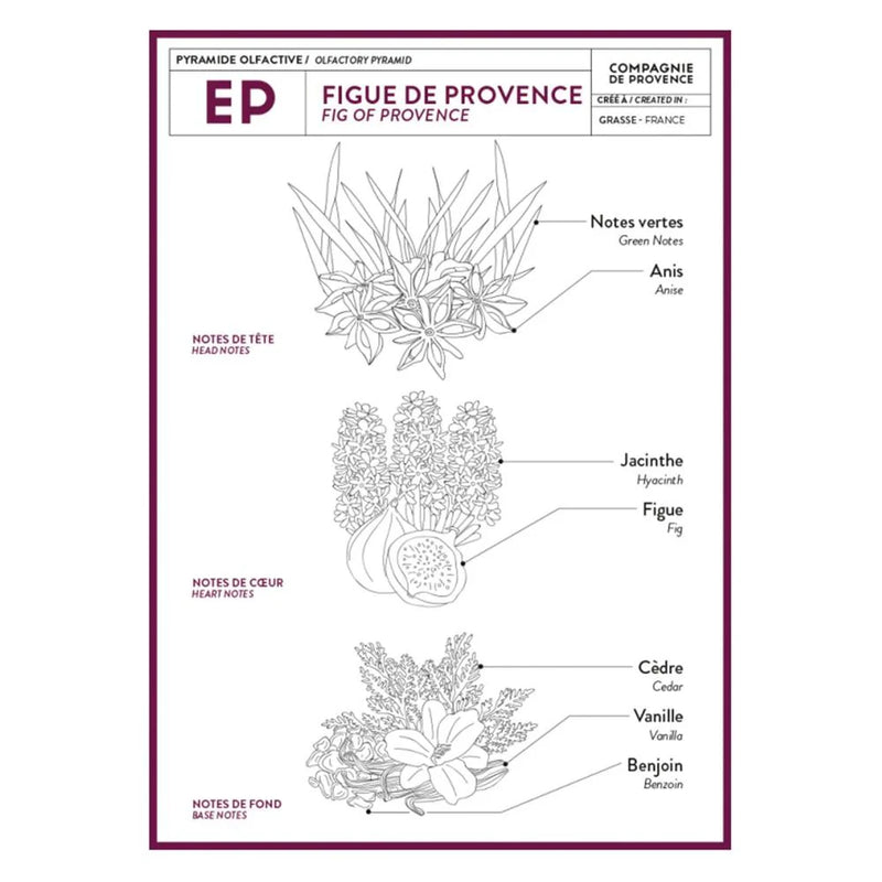 Compagnie de Provence Savon de Marseille Liquid Soap 300ml Fig | Putti