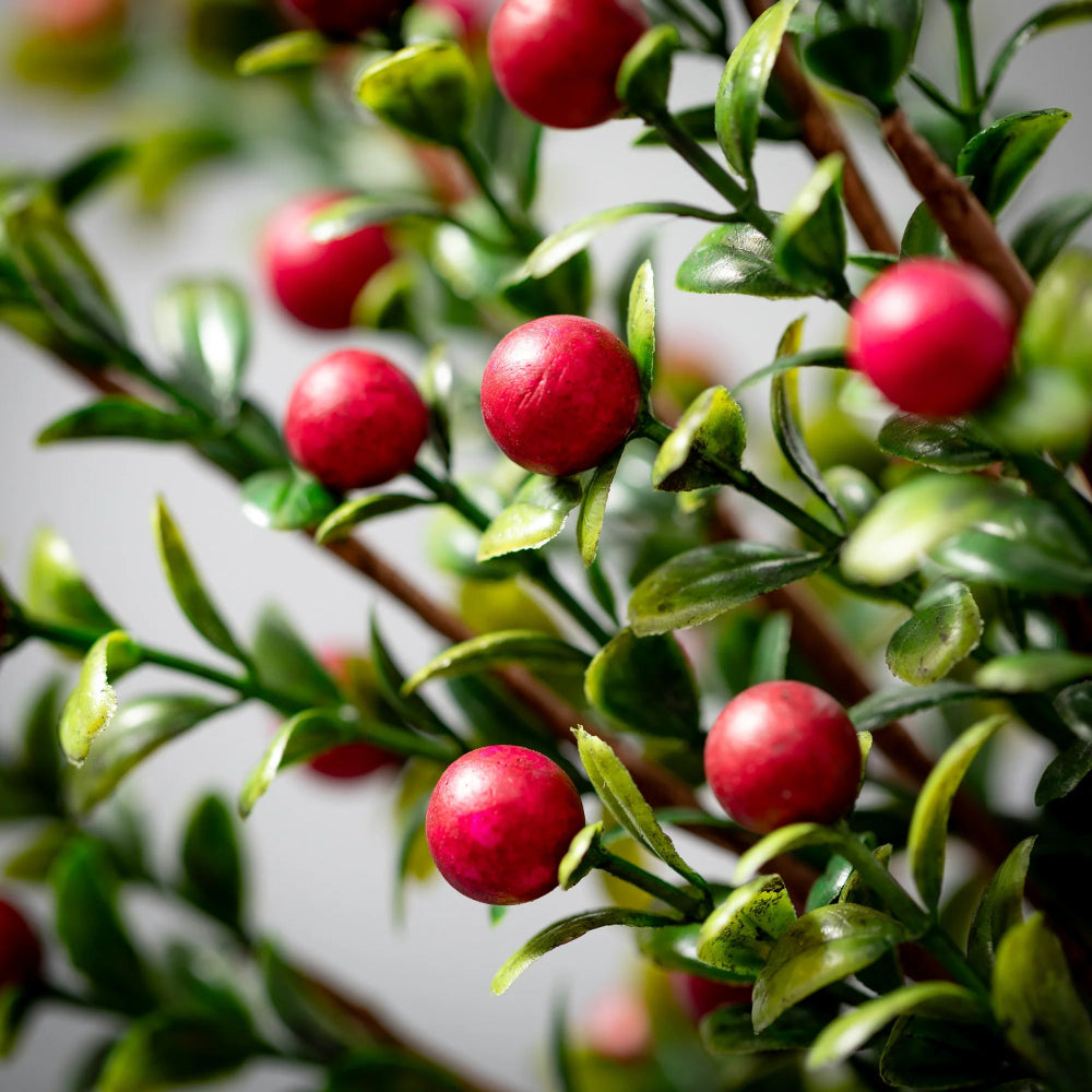 Boxwood Berry Pick | Putti Christmas Decorations