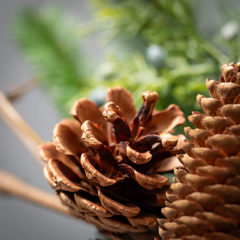 Pine with Cones Wreath