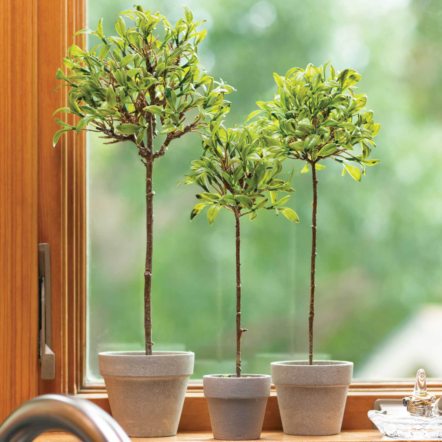Sulivans Mini Leaf Topiary | Putti Fine Furnishings Canada