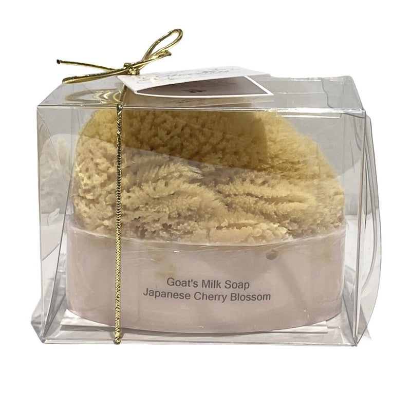 Goats Milk & Olive Oil Soaps with Sea Sponge - Cherry Blossom | Putti Canada 