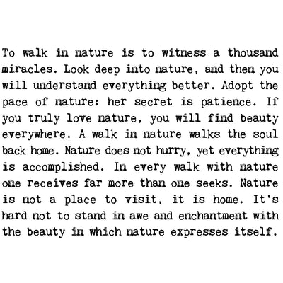 'Nature Lover' Gift Boxed Mug