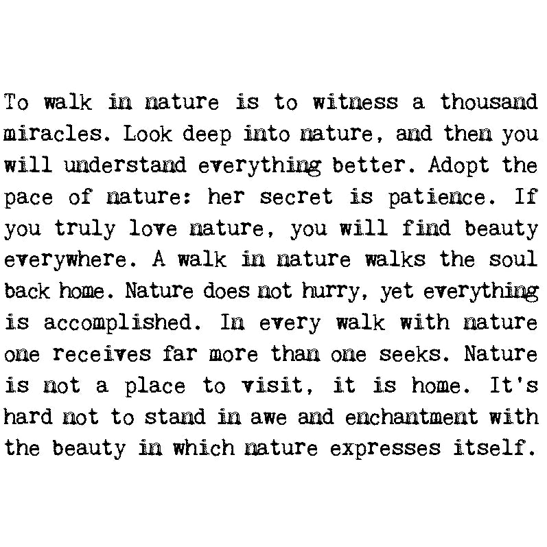 'Nature Lover' Gift Boxed Mug