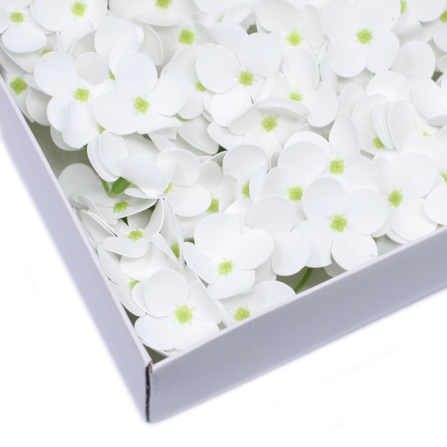 White Soap Petal Hydrangea | Putti Fine Furnishings