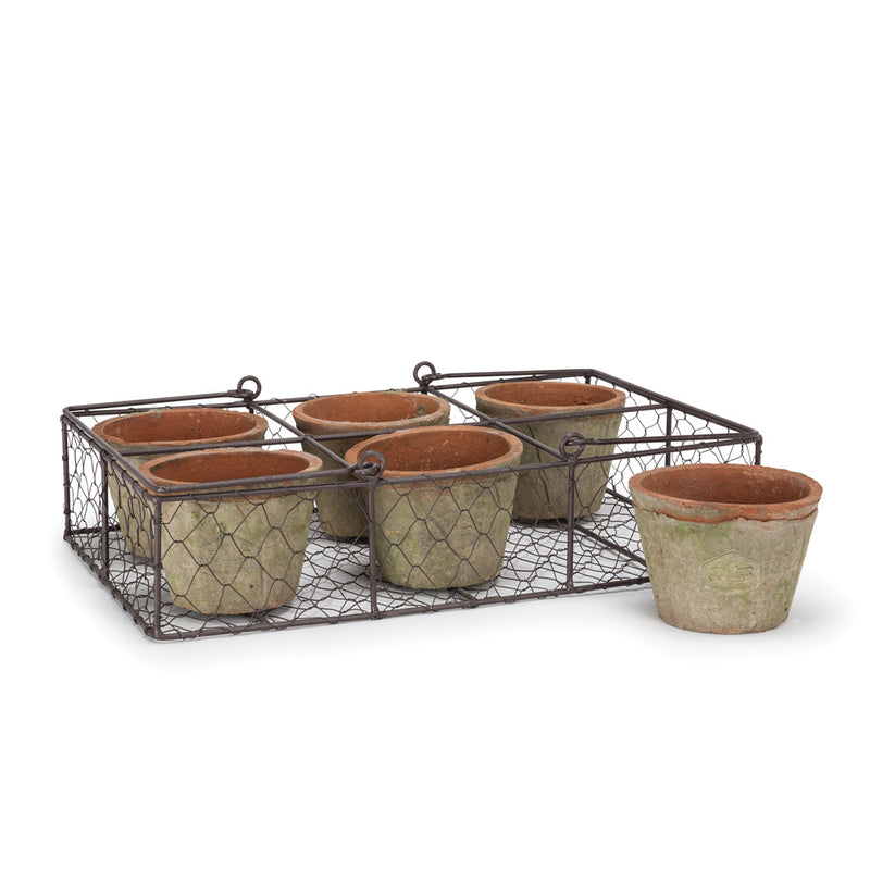 Six Moss Pot in Basket, AC-Abbott Collection, Putti Fine Furnishings