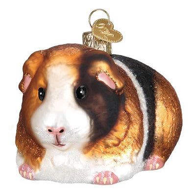 Old World Christmas Guinea Pig Glass Ornament | Putti Christmas