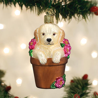 Old World Christmas Puppy in Flower Pot Glass Ornament | Putti
