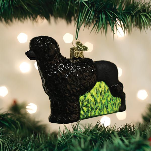 Old World Christmas Portuguese Water Dog Ornament | Putti Christmas Decorations