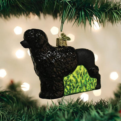 Old World Christmas Portuguese Water Dog Ornament | Putti Christmas Decorations