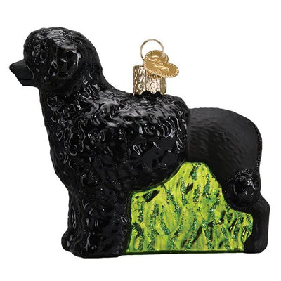 Old World Christmas Portuguese Water Dog Ornament | Putti Christmas Decorations