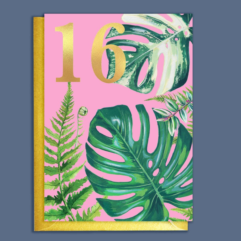 16th Birthday Houseplants Birthday Card | Putti Fine Furnishings