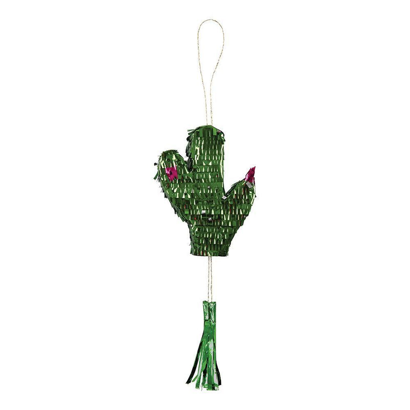 Meri Meri Cactus Pinata Favor