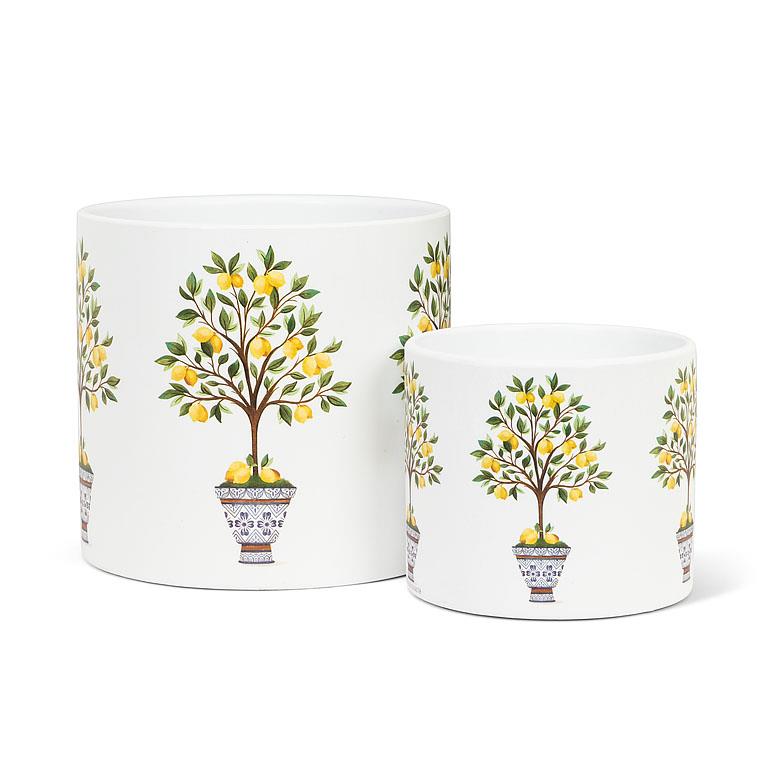 Lemon Tree Small Planter