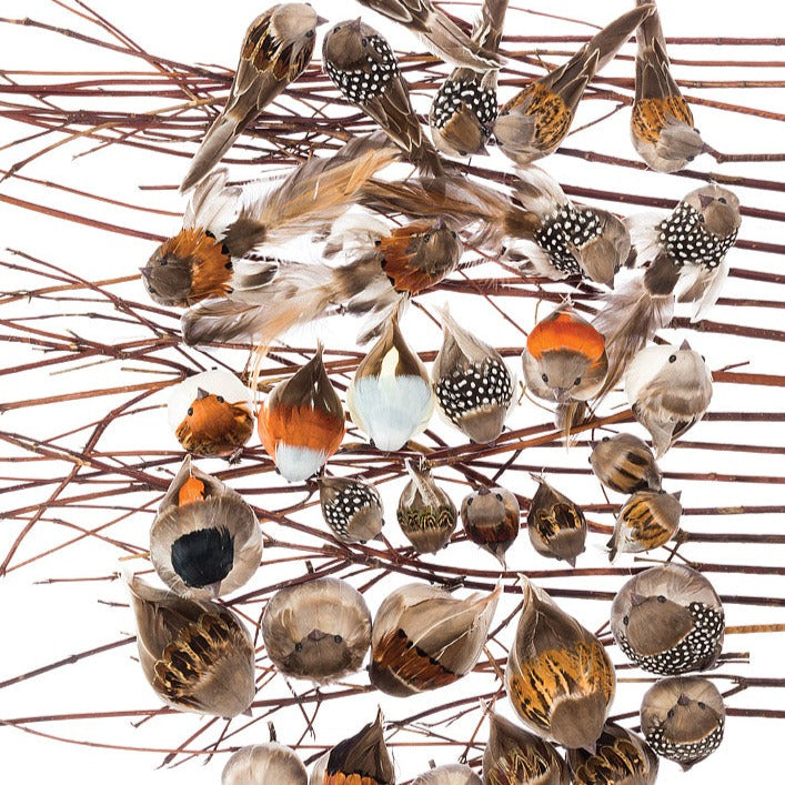 Brown Birdclip with Pointed Tail | Putti Christmas