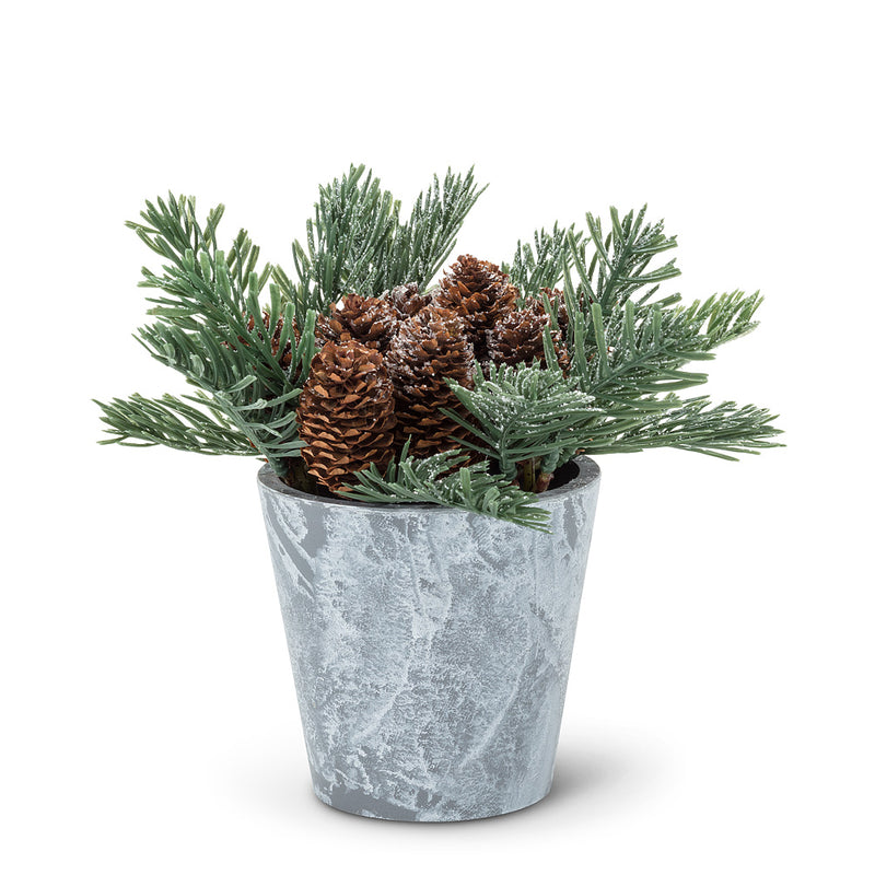 Pine Branches and Pinecones in Tin Pot | Putti Christmas Celebrations Canada
